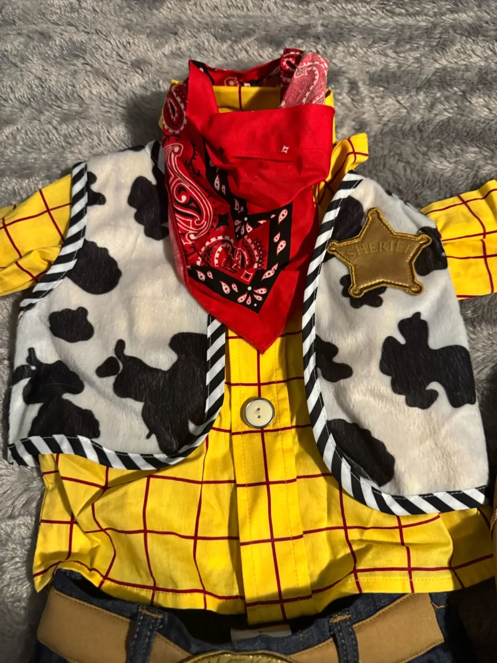 Woody Costume Toy Story